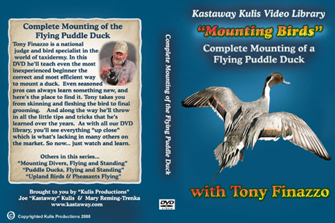 Taxidermy Training DVDs
